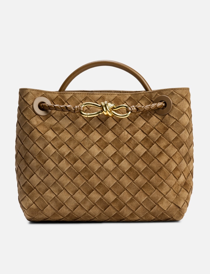 Bottega Veneta Small Andiamo