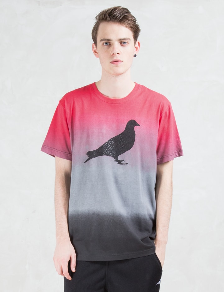 Chromatic Pigeon T-Shirt Placeholder Image
