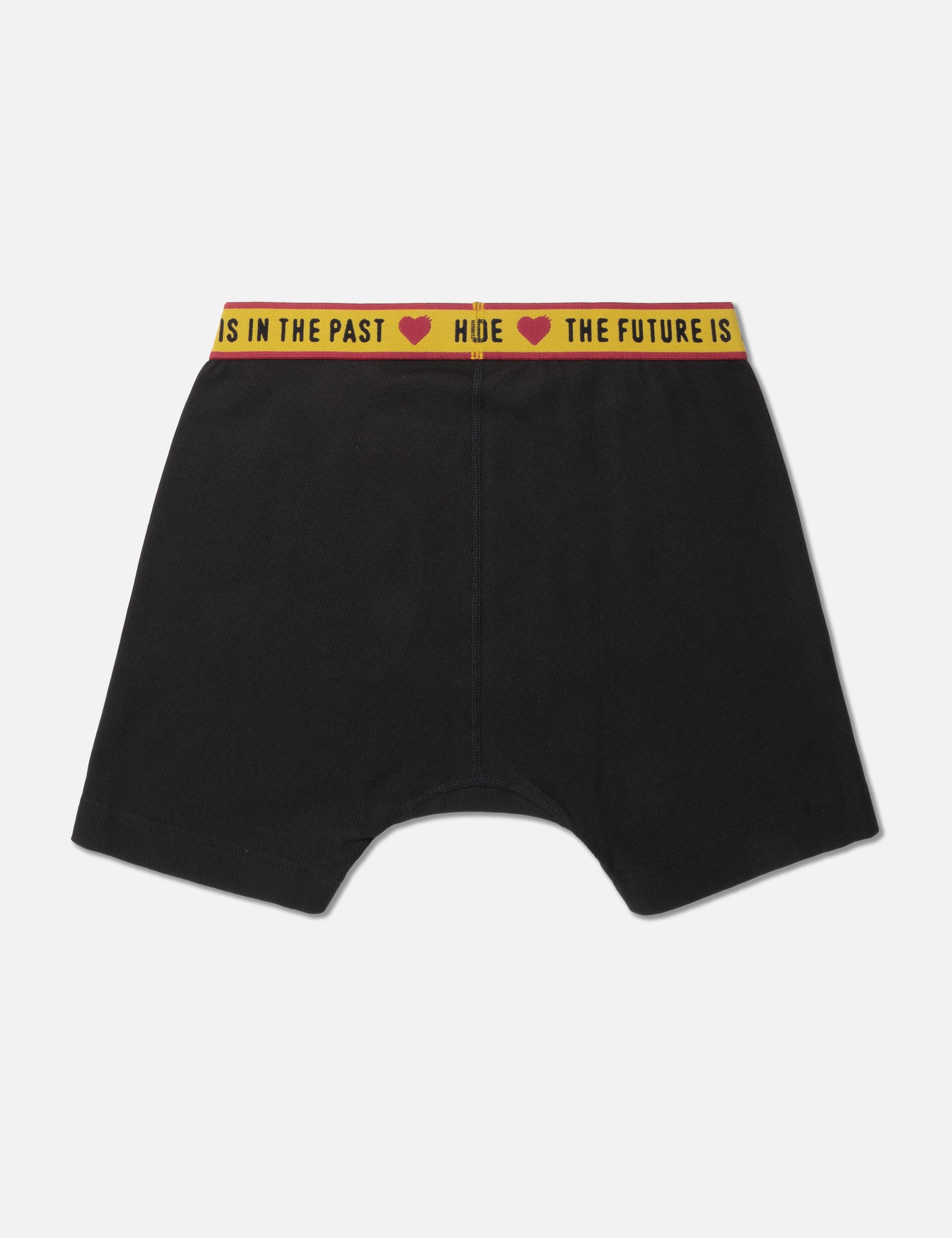HM Boxer Brief view 8