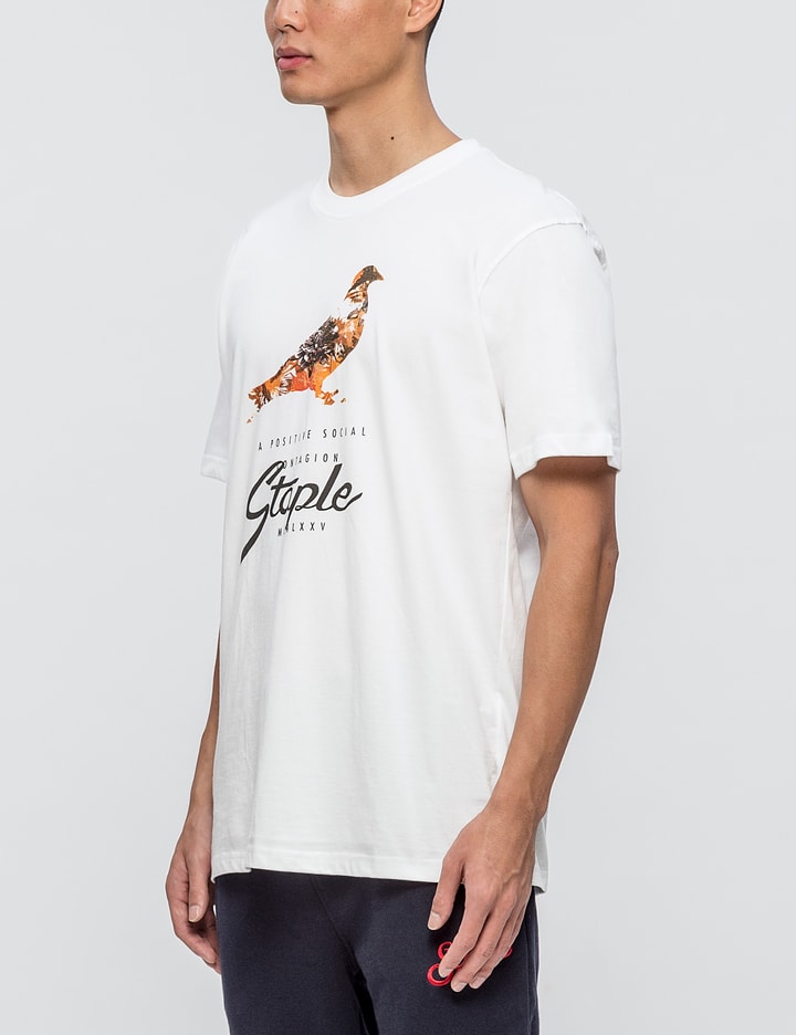 Safari Pigeon T-Shirt Placeholder Image