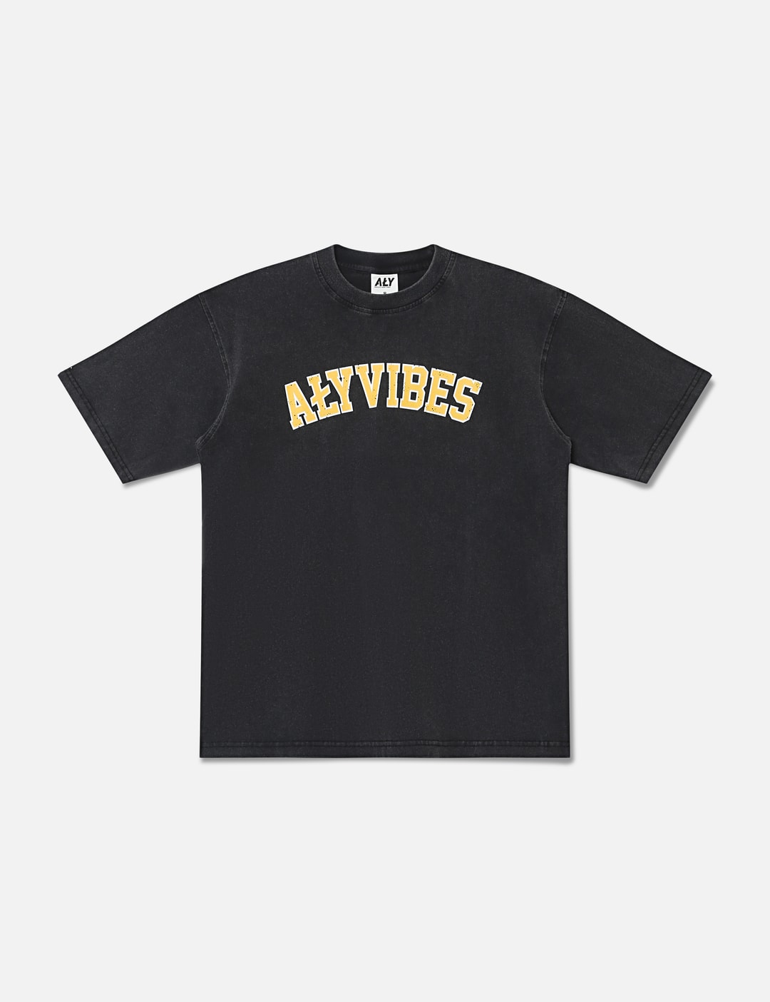 ALY Aly Vibes Washed T-shirt