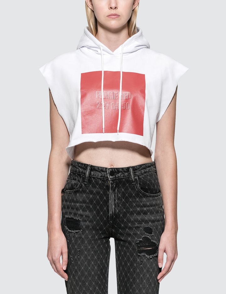 Chromotherapy Crop Hoodie Placeholder Image