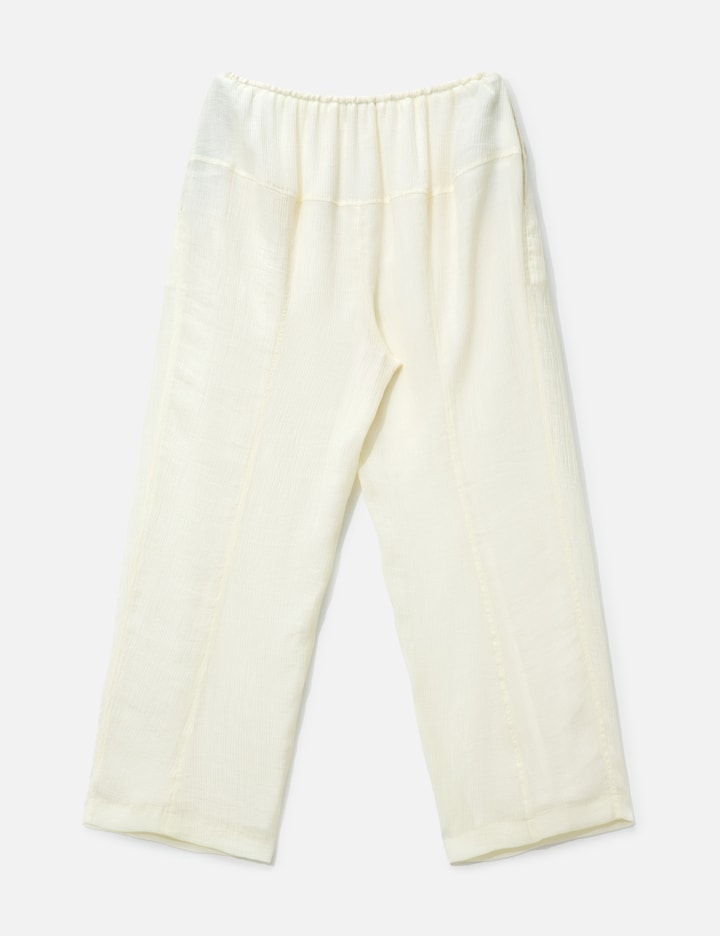 Peplum Pants view 2
