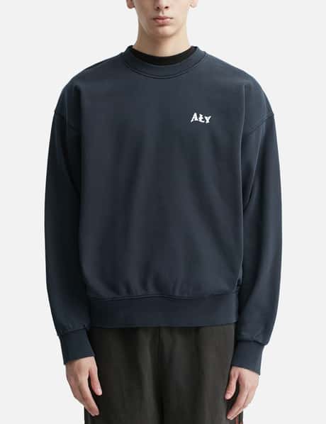 Aly view 11