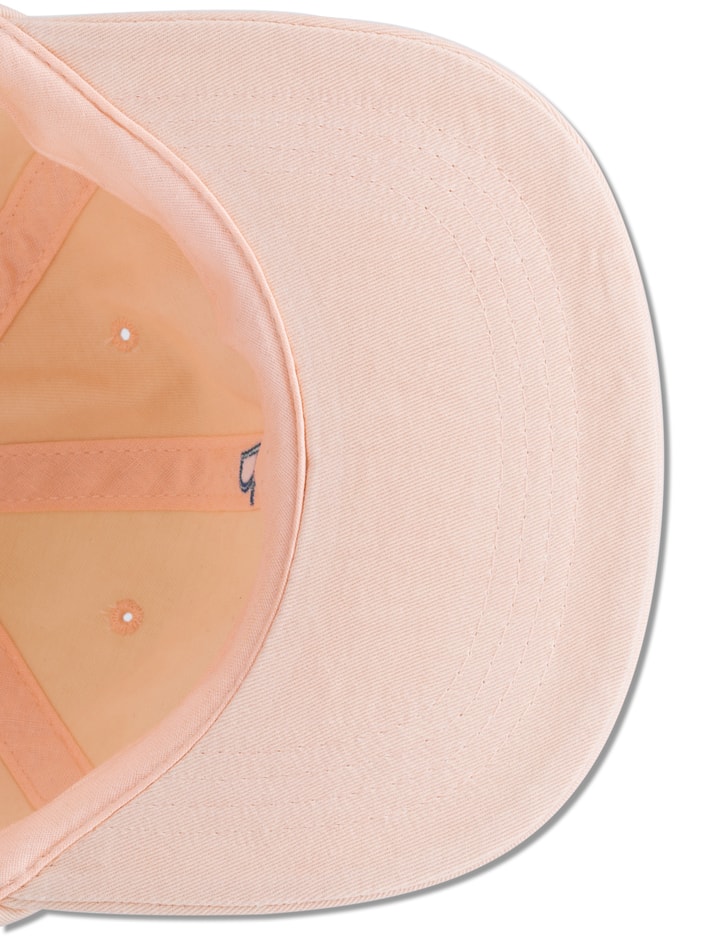 Polar Skate Co. PSC Cap