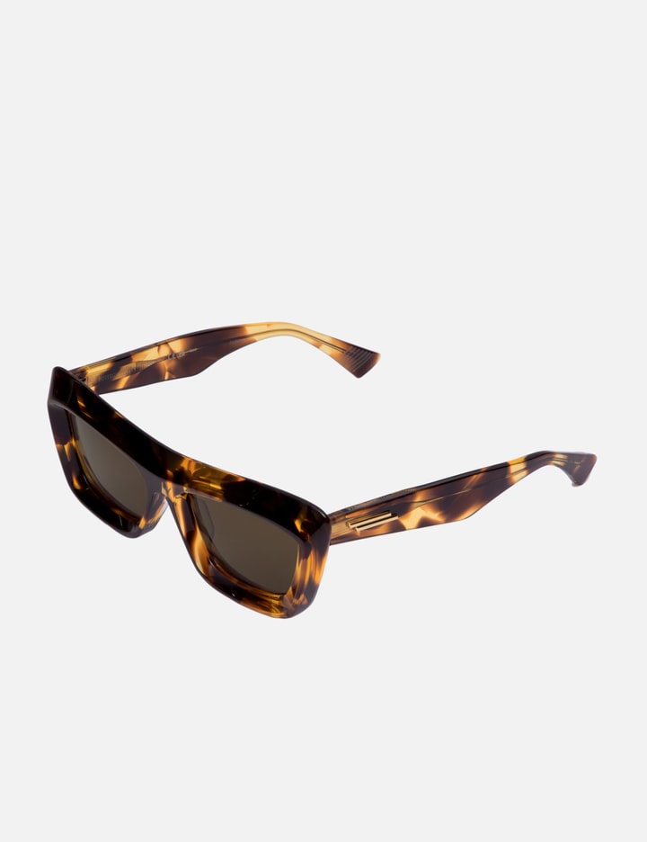 Shop Bottega Veneta Classic Cat Eye Sunglasses In Brown