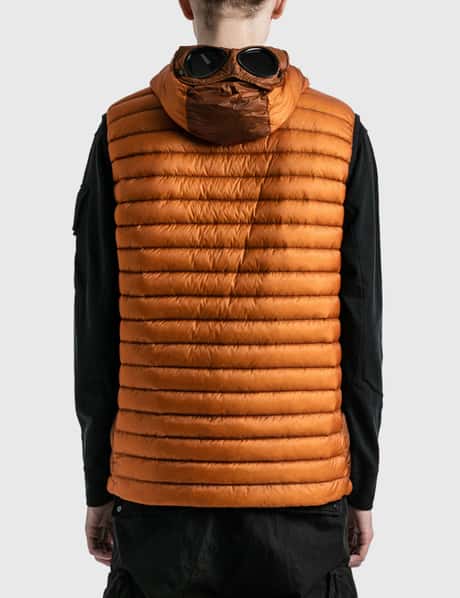 Company Shell Goggle Vest HBX