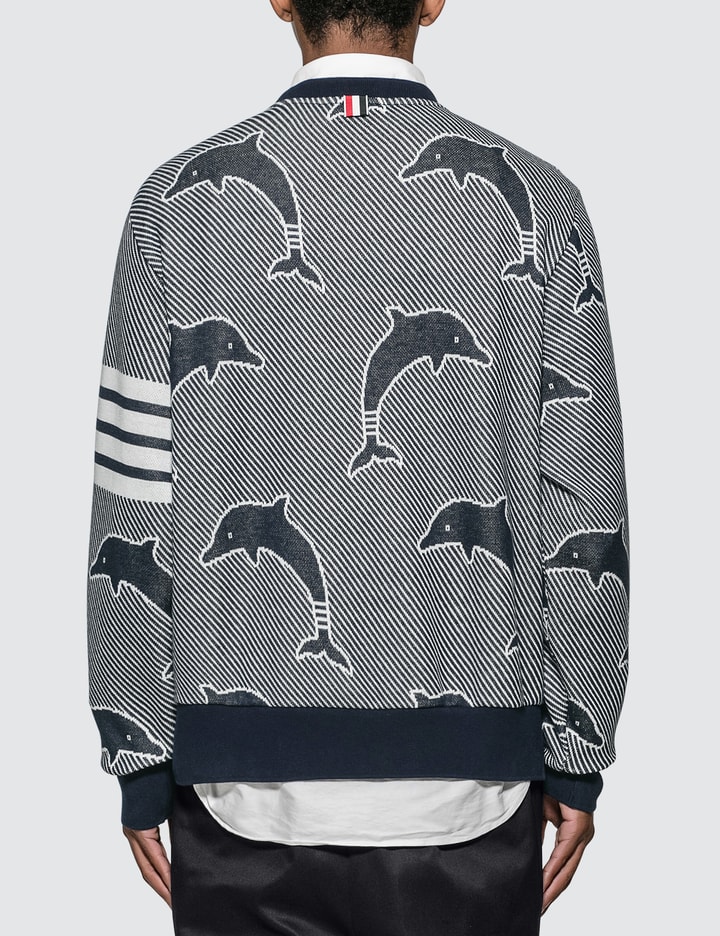 Half Drop Dolphin Sweatshirt Placeholder Image