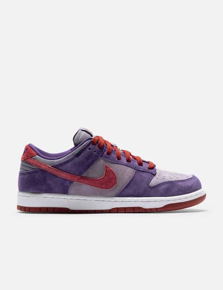 Nike SB Dunk Low Pro ACG