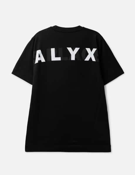 Alyx view 19