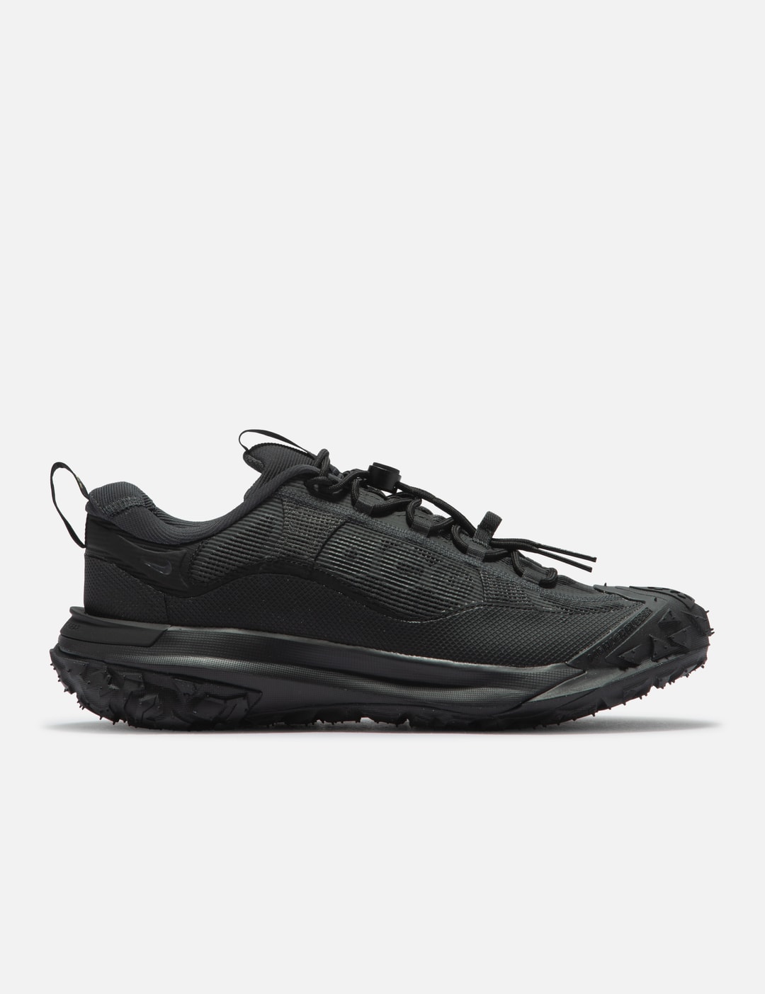 Nike ACG Mountain Fly 2 Low GORE-TEX