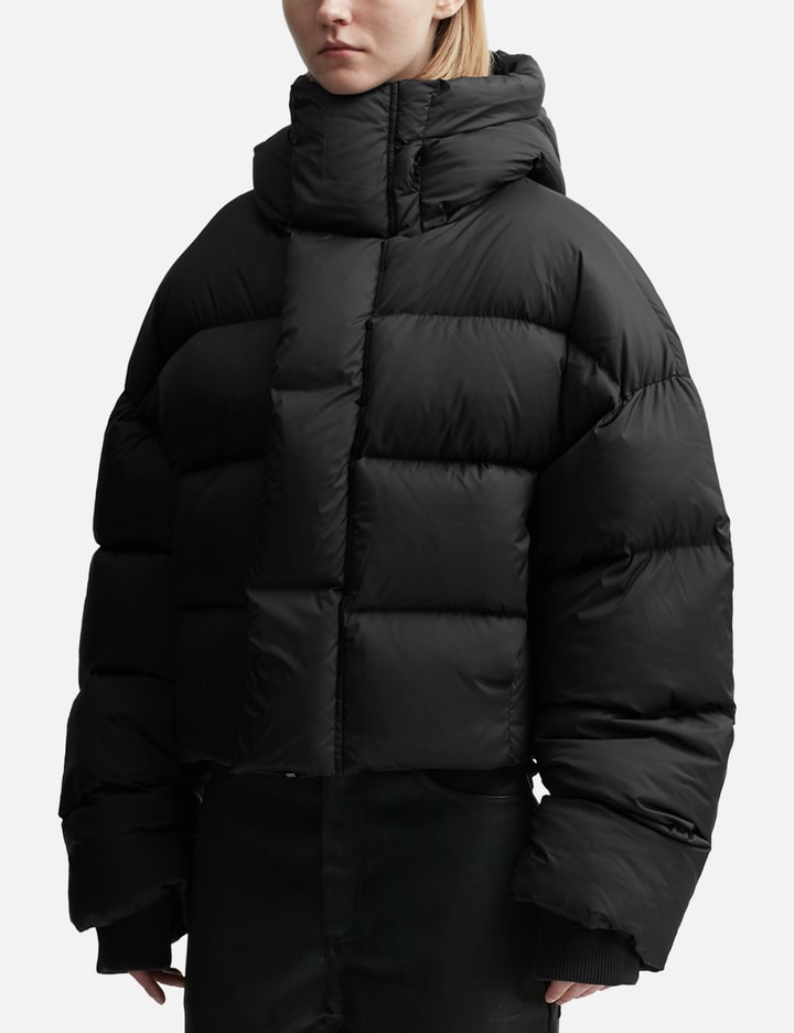 mml hooded puffer Placeholder Image