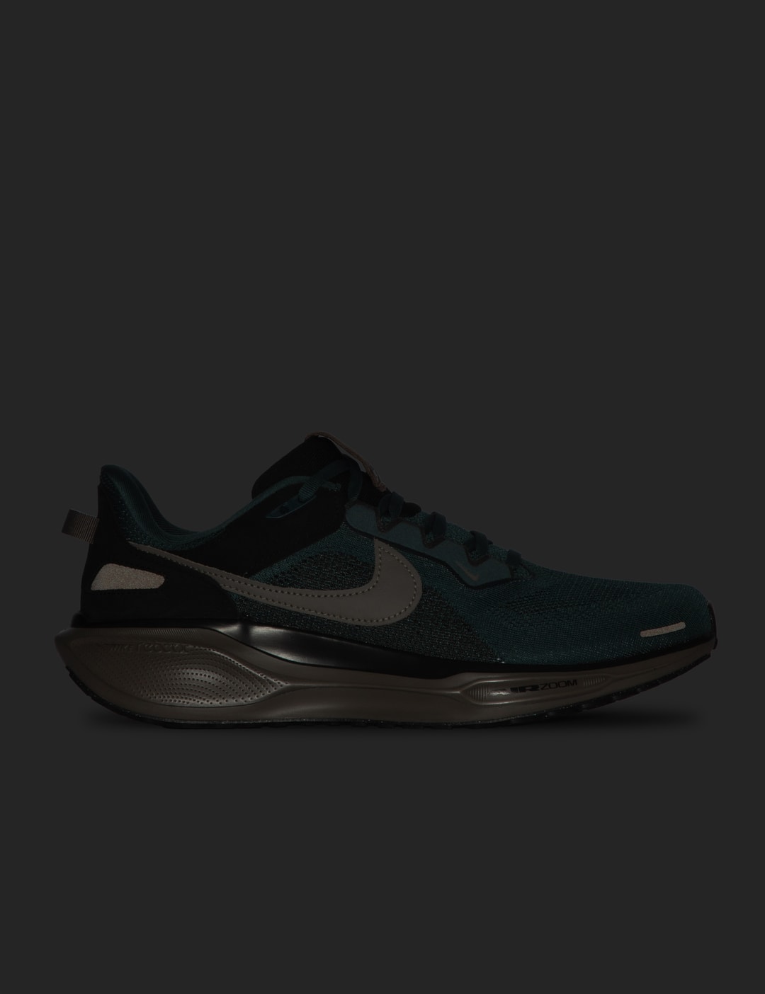 AIR ZOOM PEGASUS 41 SP view 15