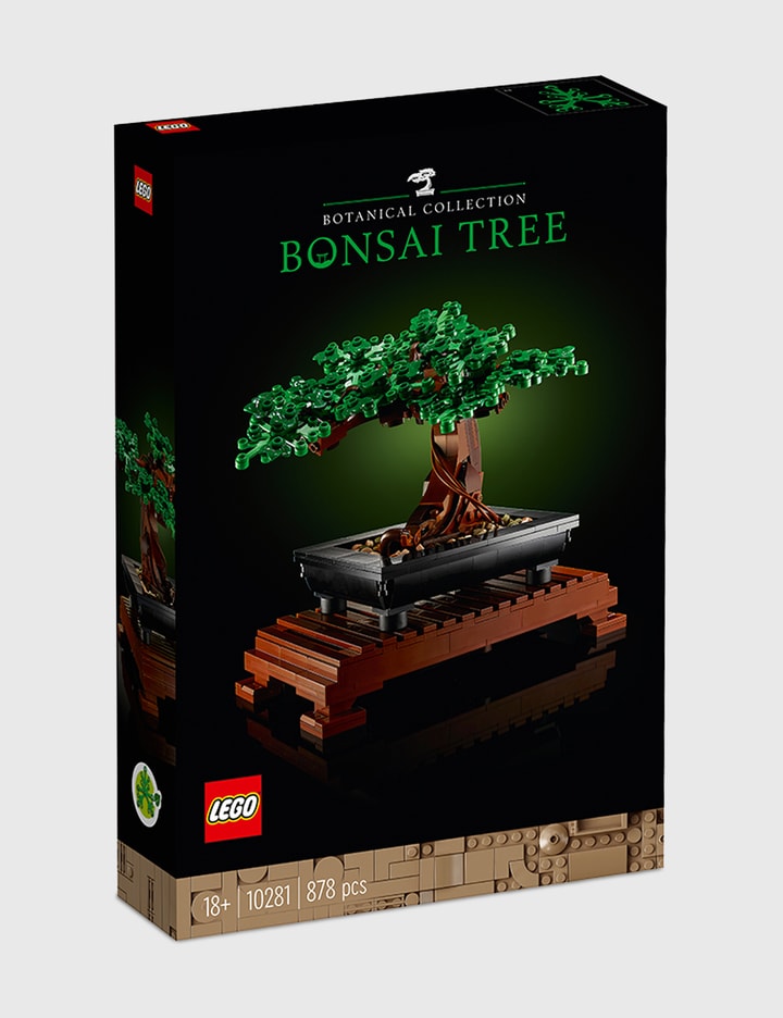 Bonsai Tree Placeholder Image