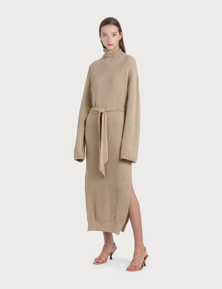 Canaan Knit Turtleneck Dress Placeholder Image