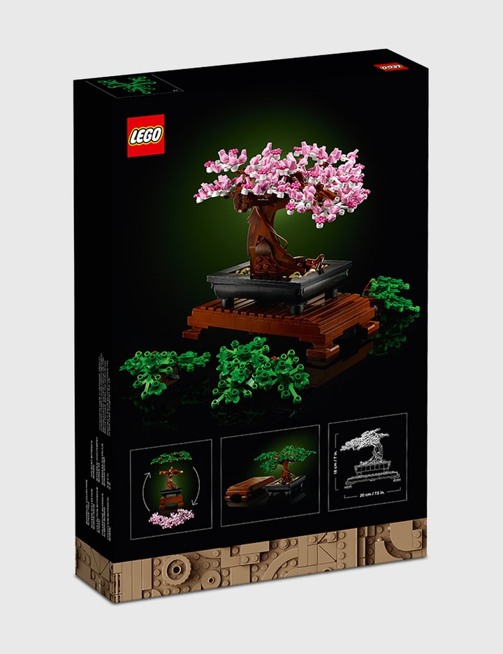 Bonsai Tree Placeholder Image