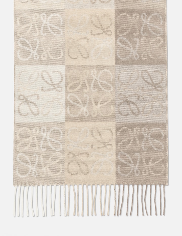 Loewe Checkerboard Scarf