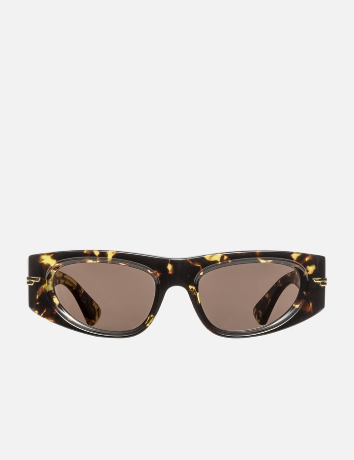 Bottega Veneta Classic Acetate Oval Sunglasses In Brown