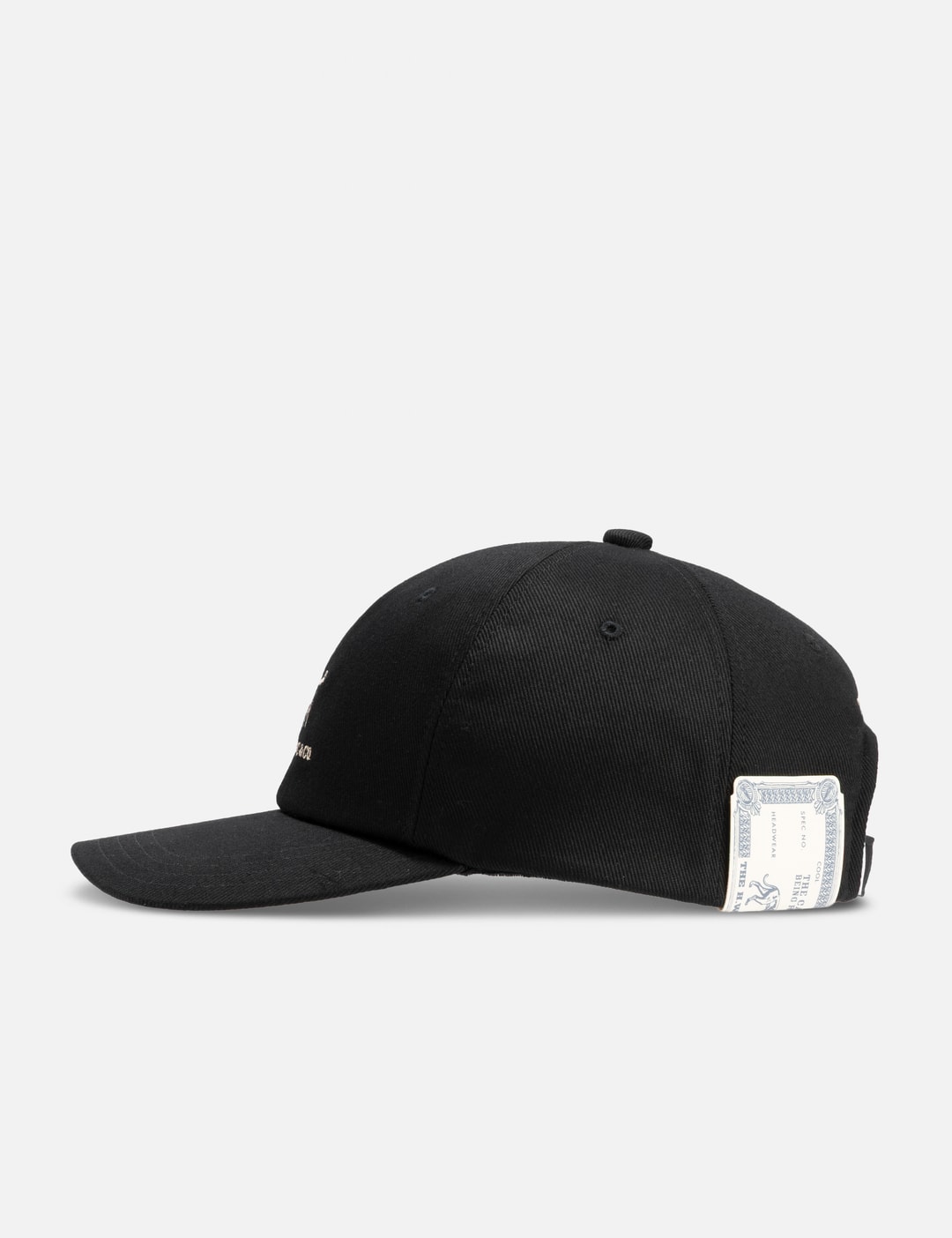 Smart Regular Cap view 8