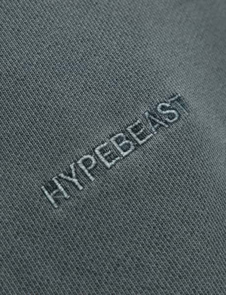 GARMENT DYED LOGO ZIP-UP HOODIE view 19