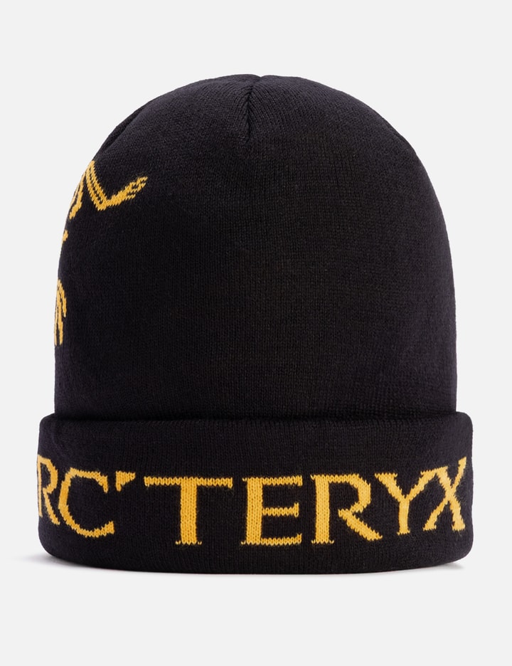 Palace x Arc'teryx Beanie Placeholder Image