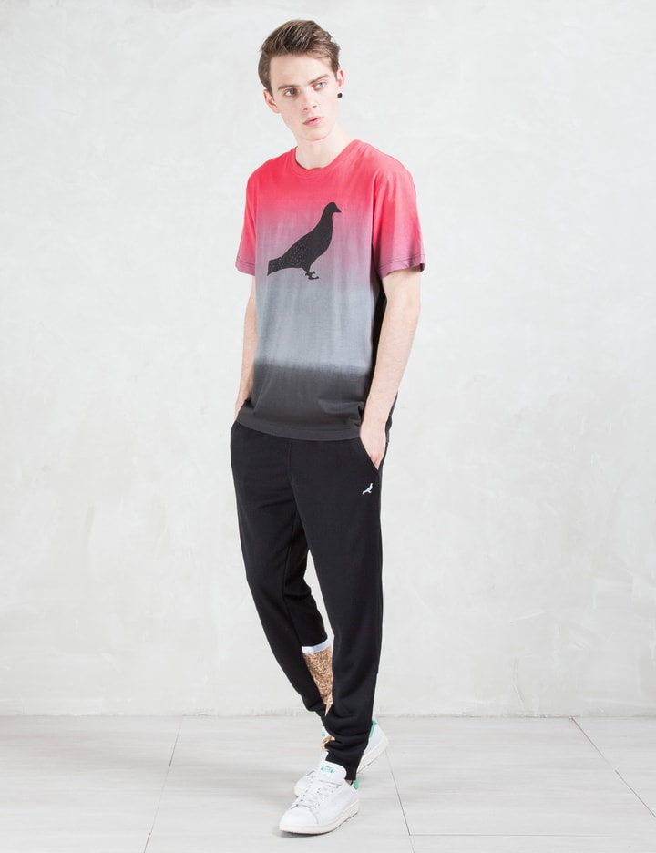Chromatic Pigeon T-Shirt Placeholder Image