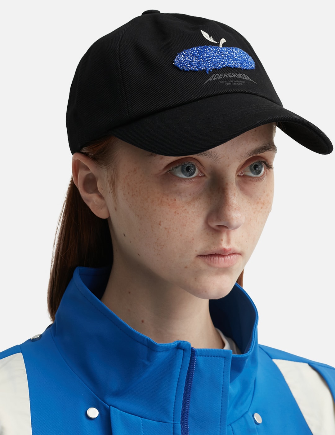Apple Cap view 15