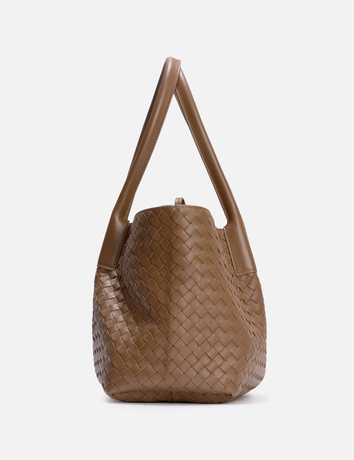 Bottega Veneta Medium Pinacoteca