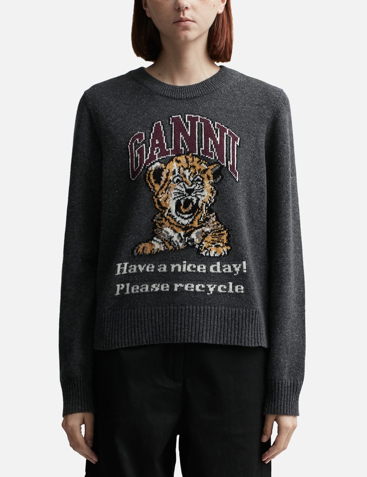 Graphic Tiger Pullover Placeholder Image