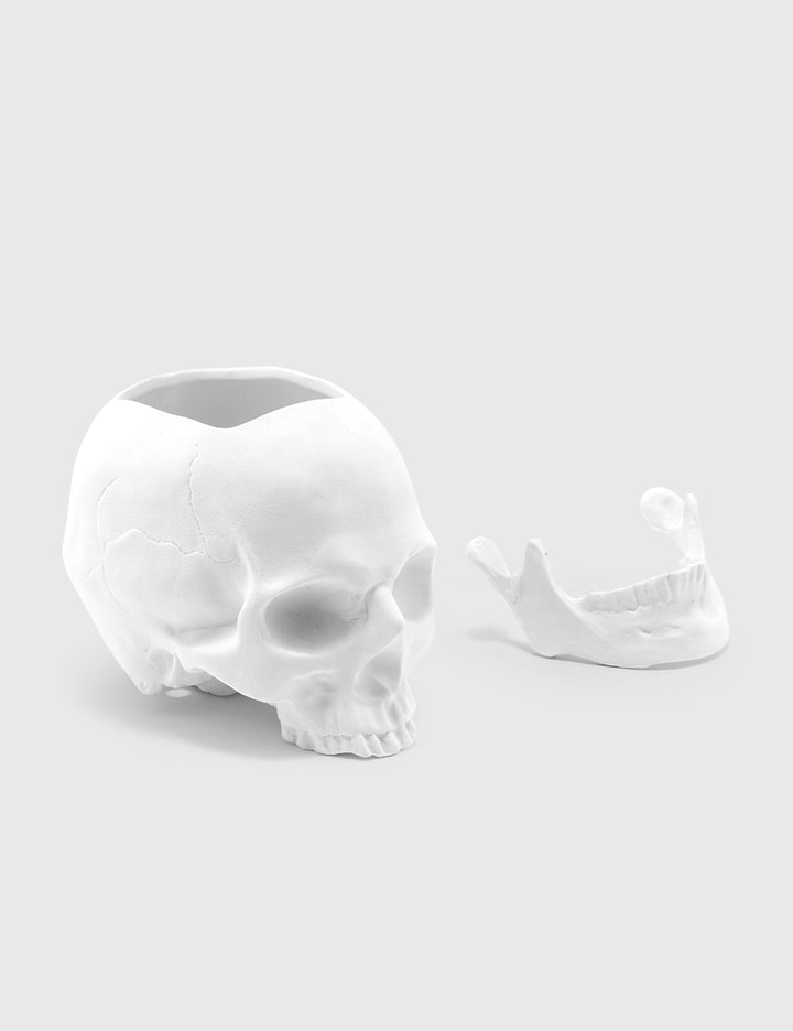 Human Skeleton Flower Pot Placeholder Image
