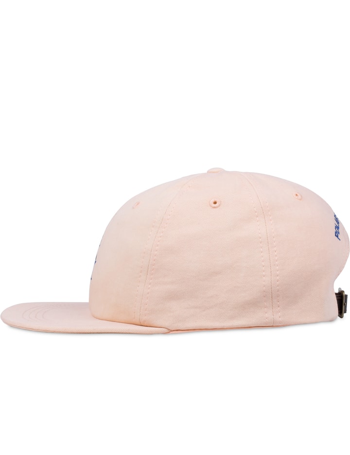 Polar Skate Co. PSC Cap