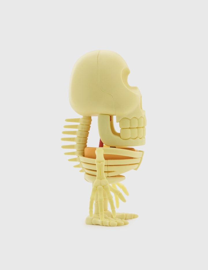 4D XXRAY Mr Potato Head Placeholder Image