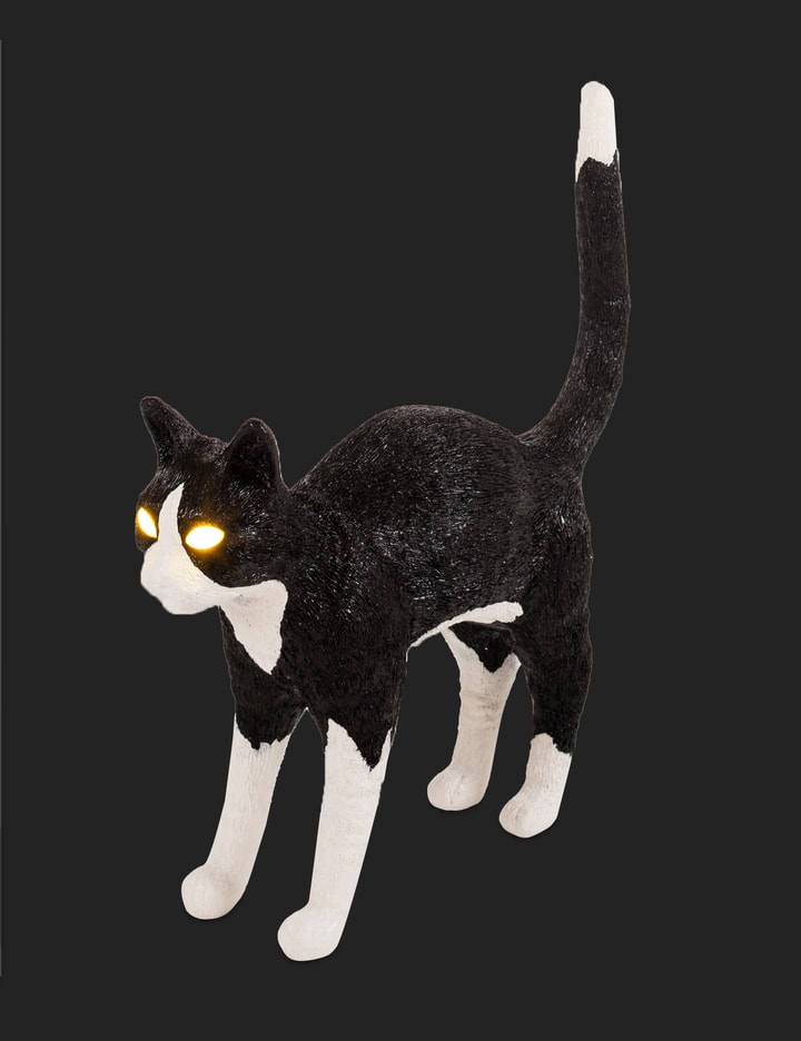 Jobby the Cat Lamp – Black/White Placeholder Image