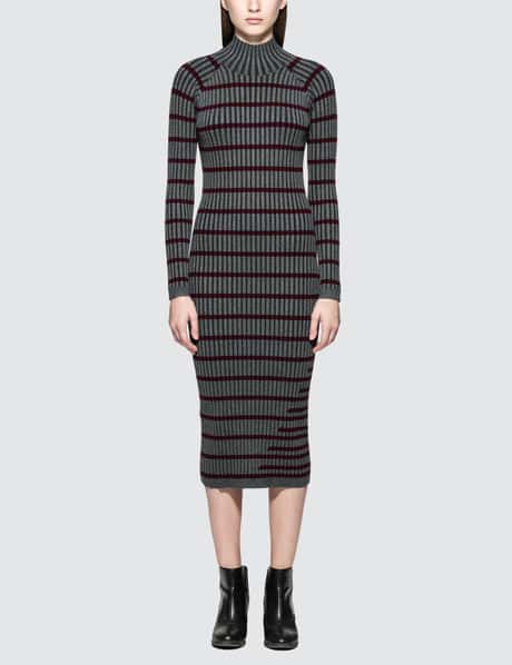 Alexander Wang - Fitted Rib With Stripe Intarsia L/S Turtleneck Dress | HBX