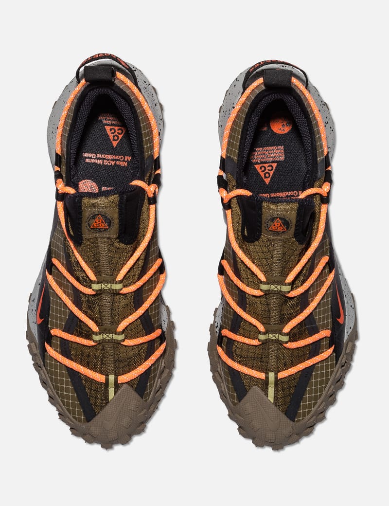 acg mountain fly fossil stone