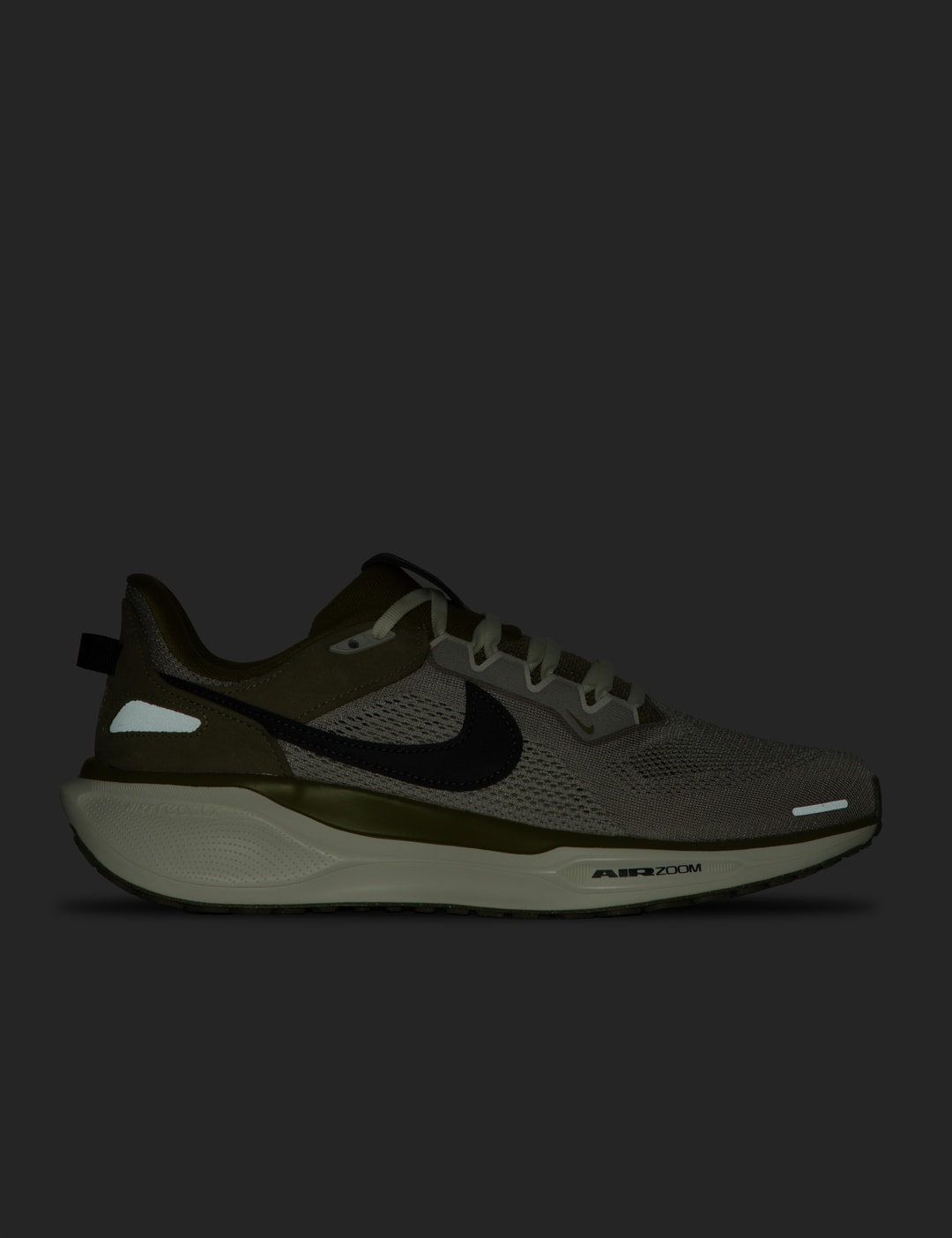 AIR ZOOM PEGASUS 41 SP view 15