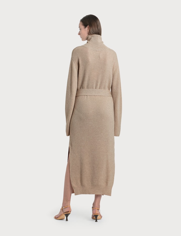 Canaan Knit Turtleneck Dress Placeholder Image