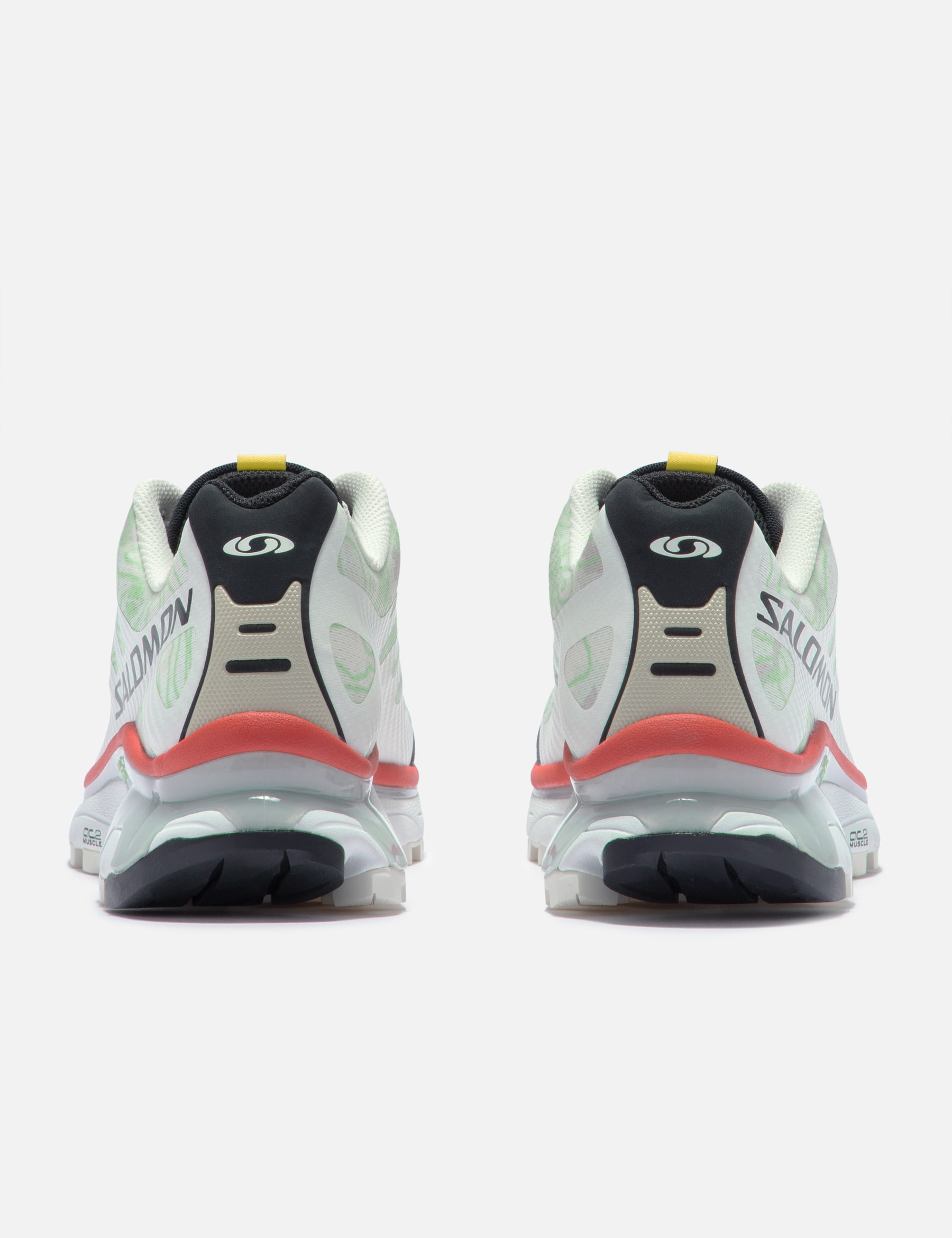XT-4 OG TOPOGRAPHY view 15