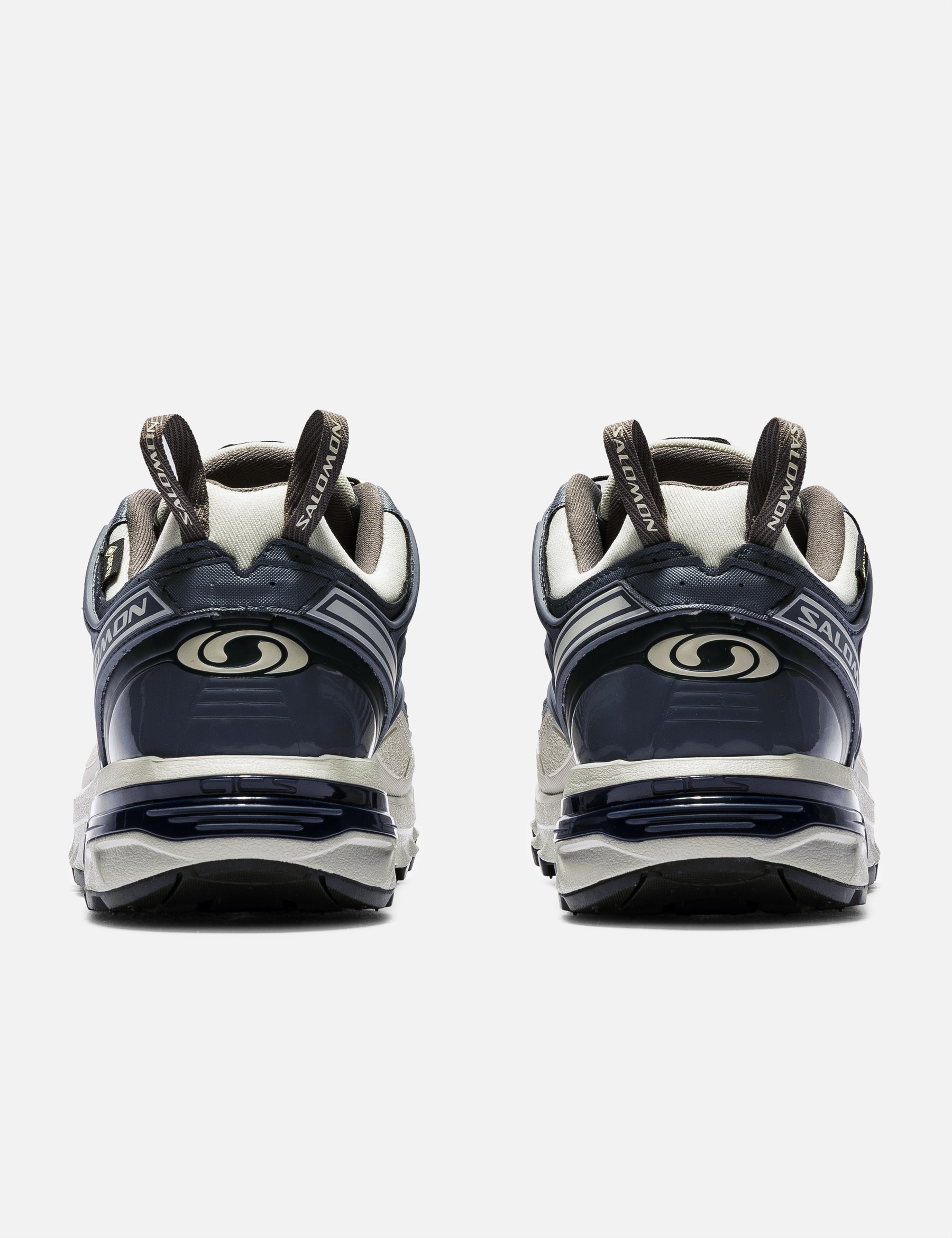 ACS PRO GORE-TEX view 15