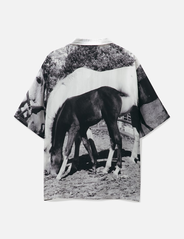 HORSES BUTTON DOWN Placeholder Image