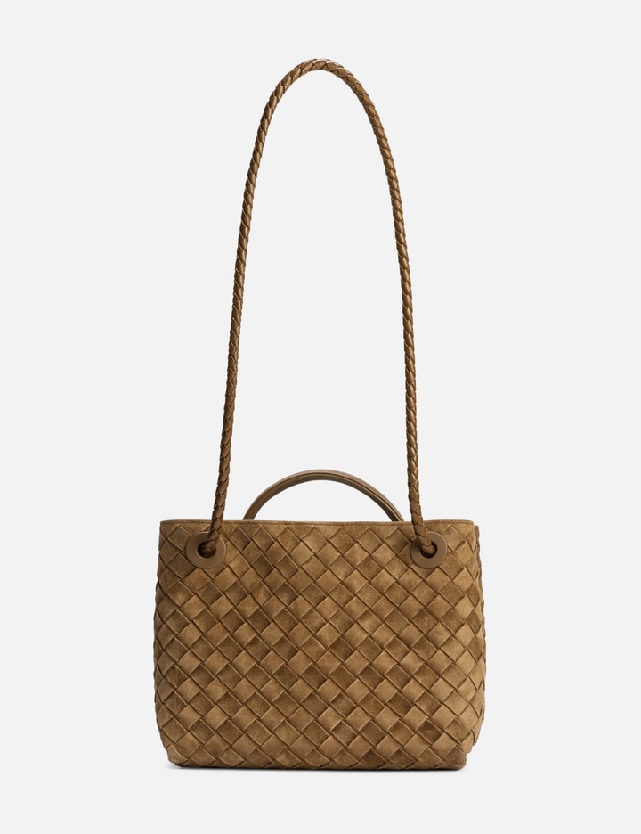 Bottega Veneta Small Andiamo