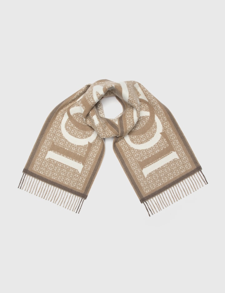 Louis Vuitton Monogram Cashmere Plain Fringes Logo Knit & Fur
