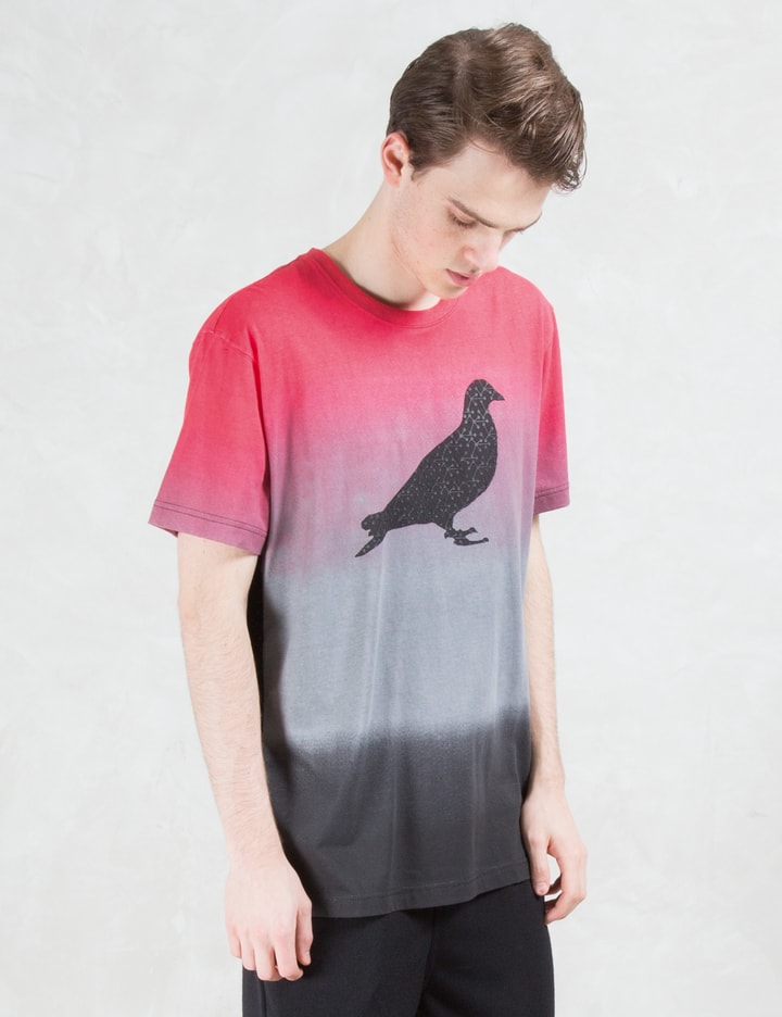 Chromatic Pigeon T-Shirt Placeholder Image