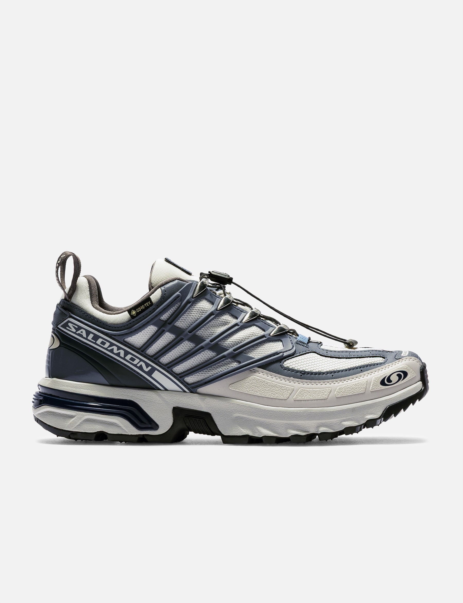 ACS PRO GORE-TEX view 13