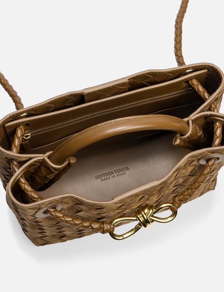 Bottega Veneta Small Andiamo