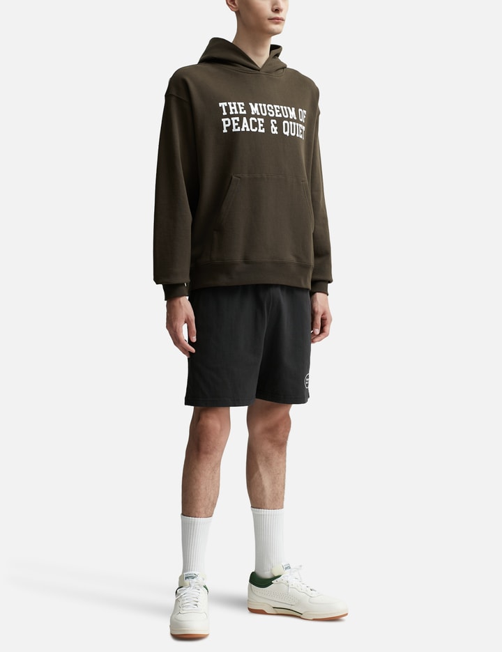 Museum Of Peace & Quiet Campus Hoodie In Brown