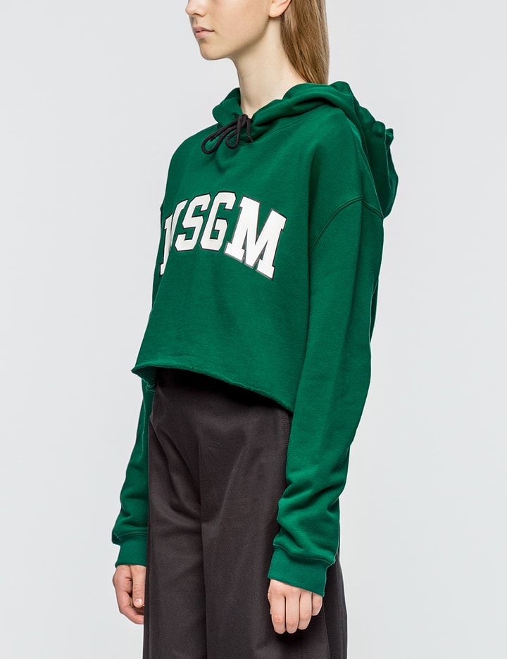 Cropped Logo Hoodie Placeholder Image