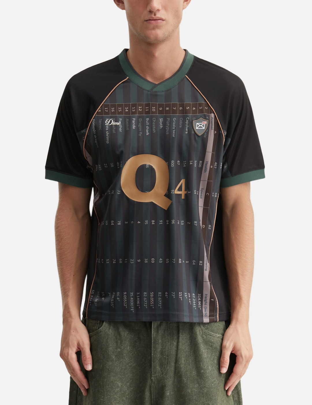 Q4 Jersey view 18