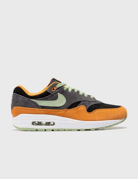 Nike Nike Air Max 1 PRM Ugly Duckling