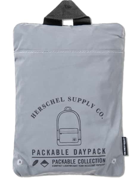 ice jansport backpack SuperBreak Plus FX